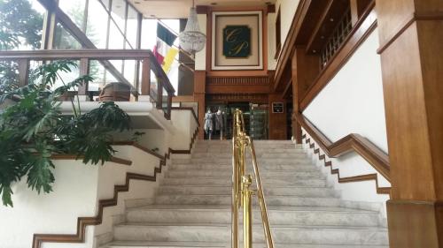a set of stairs in a building with gold railings at Country Plaza in Guadalajara