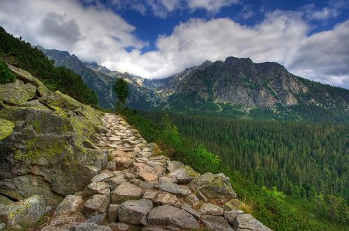 a stone path on a mountain with a forest at Apartman Panorama 1001 in Štrbské Pleso