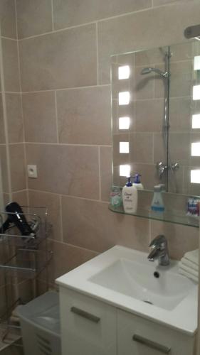 une salle de bain avec un lavabo et une douche avec un miroir dans l'établissement Apartment Louvre, à Paris