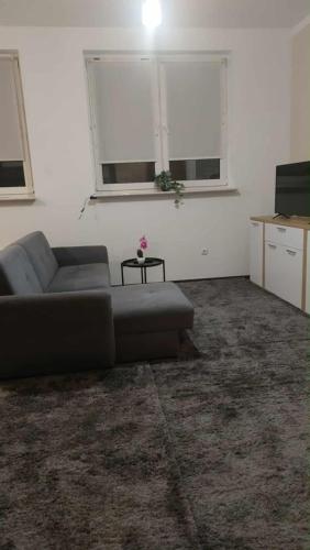 a living room with a couch and two windows at Apartament 35m2 in Koszalin