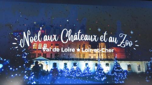 a building with christmas lights in front of it at Gite en Sologne, -Châteaux de la Loire, Beauval - in Millançay