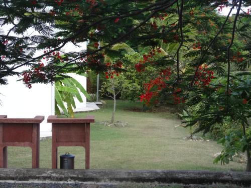 Jardín al aire libre en Gîte Zandoli Koko