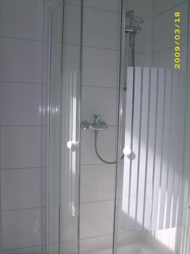 a shower with a glass door in a bathroom at Villa Regina in Schierke