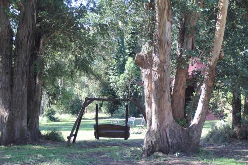 a swing hanging from a tree in a park at Quinta El Monte in Tandil
