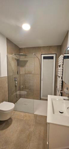 a bathroom with a shower and a toilet and a sink at Ludwig 2 in Freudenstadt