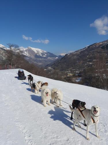 Studio Les Menuires - pied des pistes