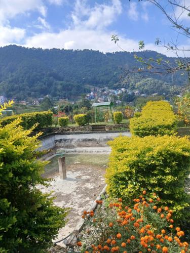 Landskap semula jadi dekat dengan rumah tamu ini