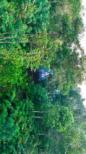 Φυσικό τοπίο κοντά σε οργανωμένο κάμπινγκ