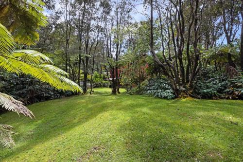 Zahrada ubytování Stop Looking You've found it