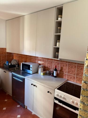 Η κουζίνα ή μικρή κουζίνα στο Vila Rosa Kolasin