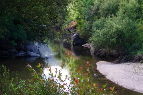 a river with red flowers on the side of it at Casa mémé in Marco de Canavezes