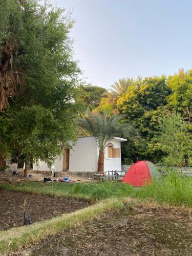 Κήπος έξω από το Bafana Bafana Nile View Guest House