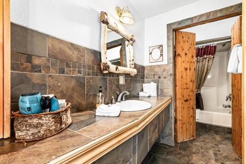 德卢斯The Inn On Gitche Gumee - The Wolves Den的浴室里有洗手池和镜子