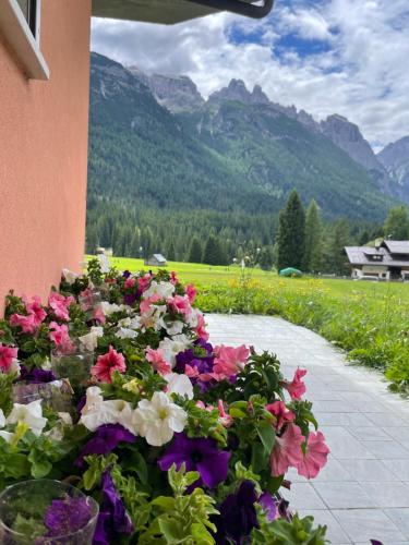 Gallery image of Oberthaler Hotel in Sappada
