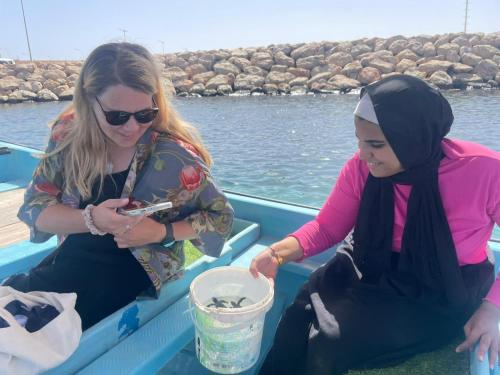 Gallery image of Home of turtles in Al Ḩadd