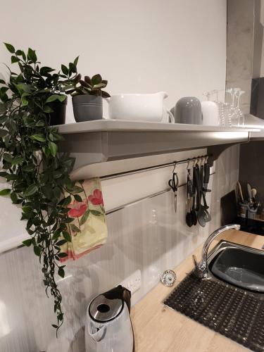 a kitchen with a sink and a shelf with plants at Posyrooms Apartment in Stalybridge