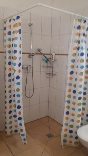 ein Badezimmer mit Dusche, Toilette und Waschbecken in der Unterkunft Bülitz33 in Niederdorla