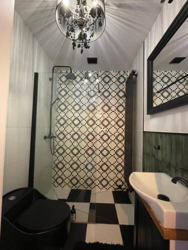 a bathroom with a black toilet and a sink at Lake House by Fregata Restaurant in Zagórze Śląskie