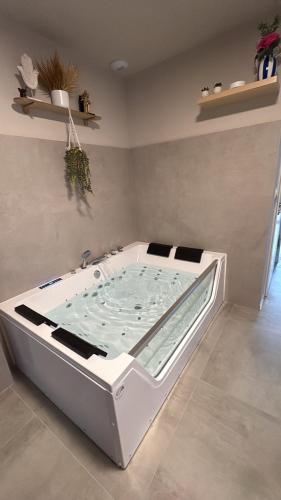 Foto Maison MUGUET 4 SPA-PARKING-COLMAR 3