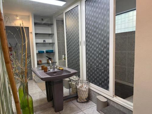 a bathroom with a sink and a glass shower at Villa Abre de l'intendance avec vue mer et piscine à Boucan Canot in Saint-Paul