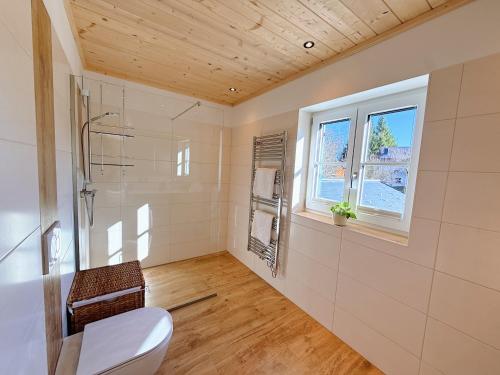 a bathroom with a toilet and a window at Ferienhaus Bergmann in Bad Aussee
