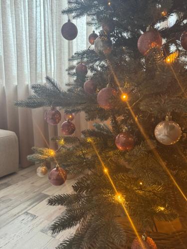 Φωτογραφία από το άλμπουμ του Aan de Plenkert στο Βάλκενμπουργκ