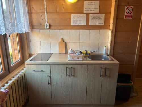 eine kleine Küche mit Spüle und Arbeitsplatte in der Unterkunft Ludwina Żegleń Pokoje Gościnne in Małe Ciche