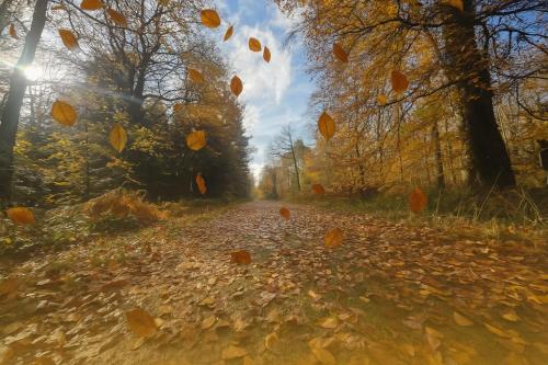 Příroda nedaleko prázdninového domu