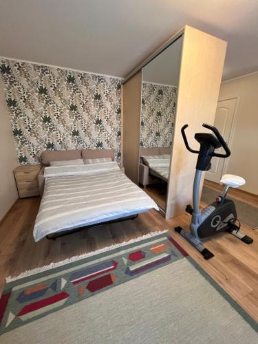 a bedroom with a bed and a treadmill and a mirror at Уютная квартира в 10 минутах от моря in Aseri