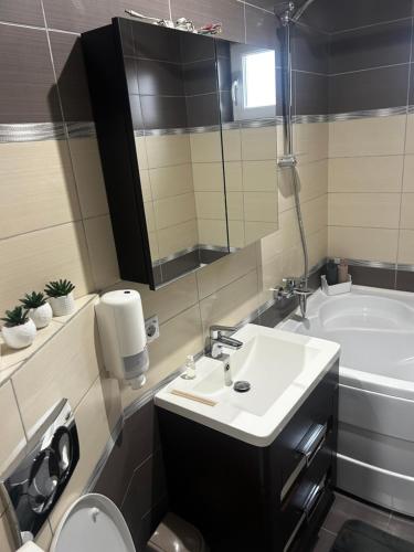 a bathroom with a sink and a toilet and a tub at DAVID Resident in Cavnic