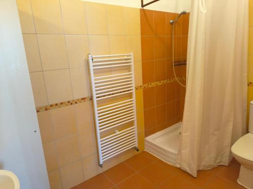 a bathroom with a shower and a white radiator at Apartmán Hanka in Pardubice