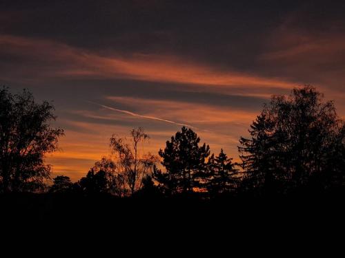 um grupo de árvores com um pôr-do-sol ao fundo em CARPE DIEM Unique S&P em Valjevo