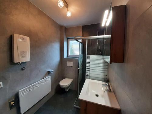 une salle de bain avec un lavabo et des toilettes et une fenêtre dans l'établissement Susis Apartment Altenmarkt, à Altenmarkt im Pongau