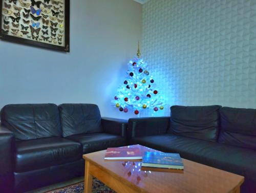 a living room with a christmas tree in the corner at Rumbach Terrace Apartment in Budapest