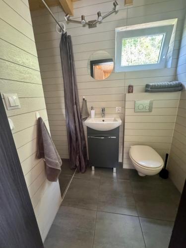 a small bathroom with a toilet and a sink at Zaciszna Idylla Domek z jacuzzi nad Jeziorem Złotnickim Karłowice in Olszyna