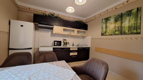 Η κουζίνα ή μικρή κουζίνα στο Margit Apartman