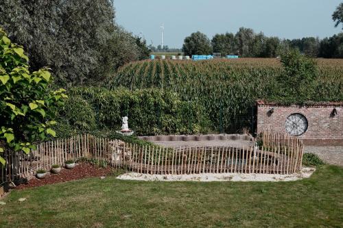 Κήπος έξω από το Vakantiewoning Welle Weg