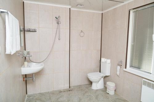 Koupelna v ubytování Вила Владислава - стаи за гости