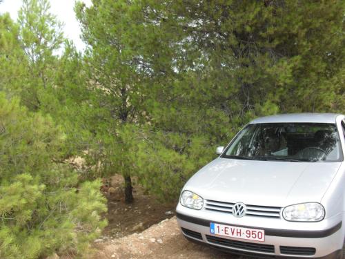 Příroda nedaleko penzionu