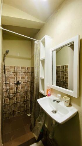 een badkamer met wastafel en douche met spiegel bij Minerva Apart in Ranomafana