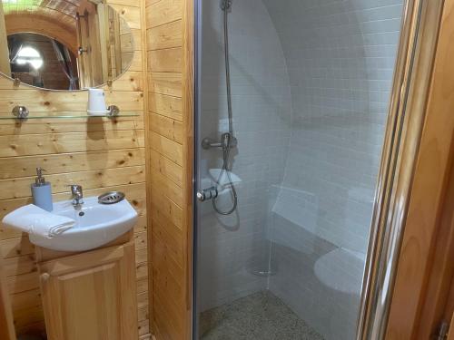 ein Badezimmer mit Dusche und Waschbecken in der Unterkunft Roulotte au domaine du Bouygues in Salvagnac-Cajarc