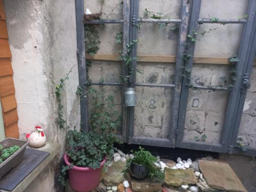 un jardin avec des plantes en pot sur le côté d'un mur dans l'établissement Le patio, à Oloron-Sainte-Marie