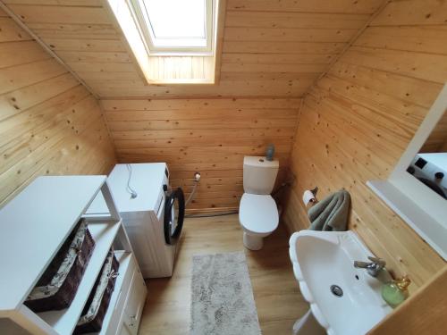 TobołowoにあるDomek Tobołowoのバスルーム(トイレ、洗面台付)