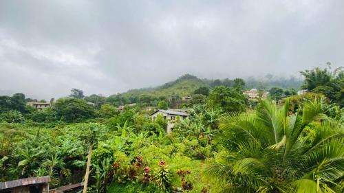 Φυσικό τοπίο κοντά σε αυτός ο ξενώνας