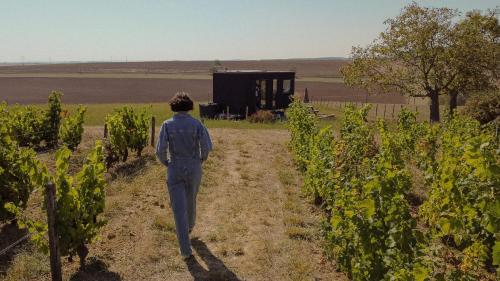 Hosté ubytování Parcel Tiny House Cave Nerot, au coeur des vignes près de Sancerre