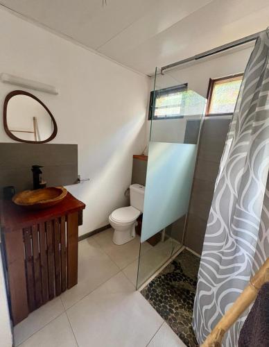 a bathroom with a shower and a toilet and a sink at Chill lodge in Sainte-Luce