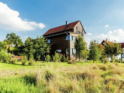a large house on a grassy field at Villa mit Sauna und Garten in Schotten