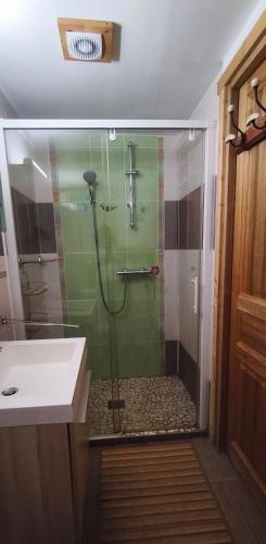 a shower with a glass door next to a sink at Appartement de la Fruitière in Arith
