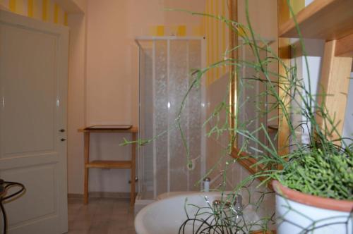 un bagno con lavandino e pianta in vaso di Casa Ciri Bed & Breakfast a Foligno