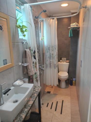 a small bathroom with a sink and a toilet at Departamento El Marques in Rada Tilly